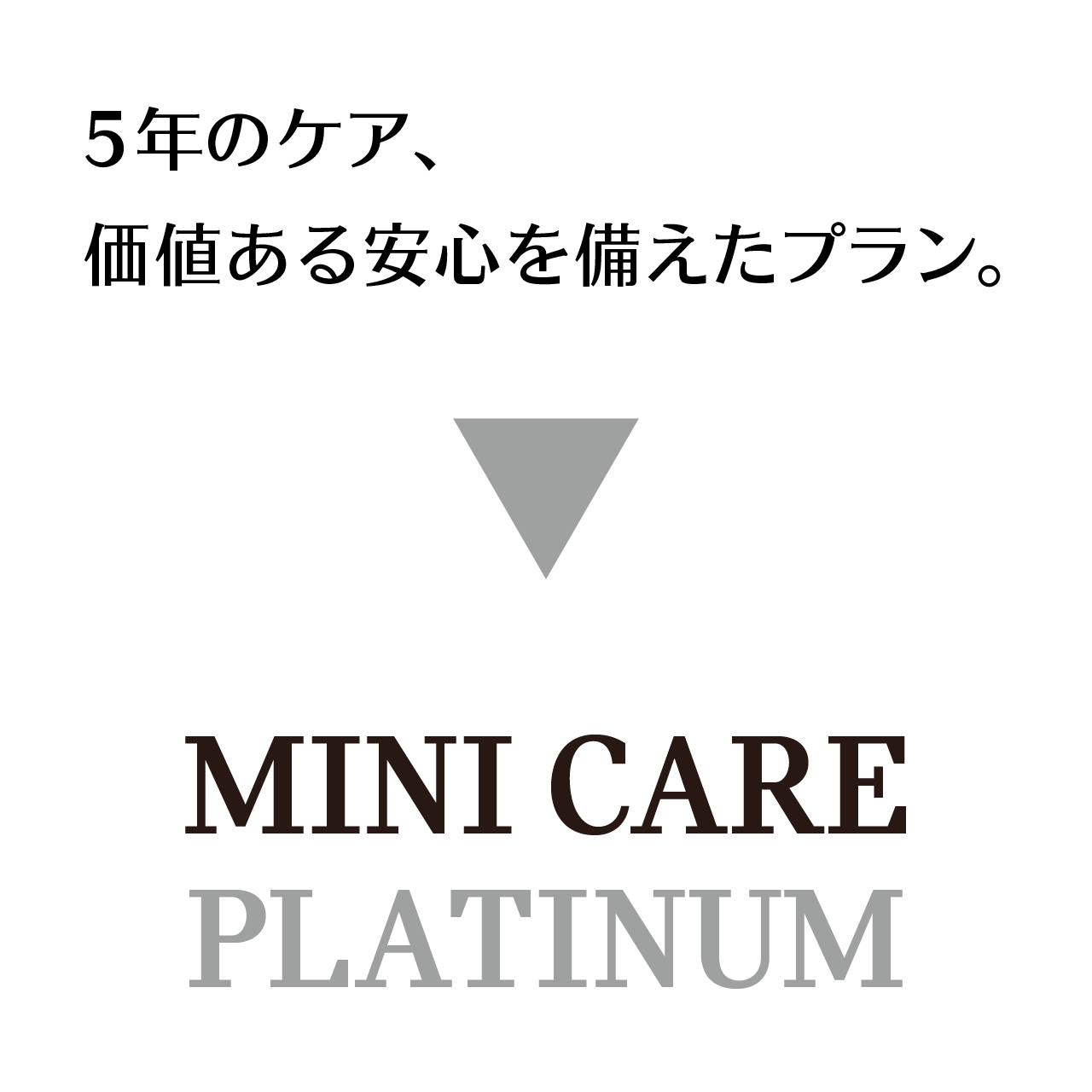 MINICAREPLATINUM