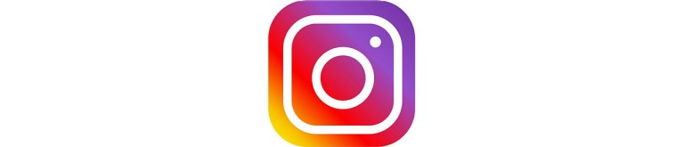 Instagram Icon​