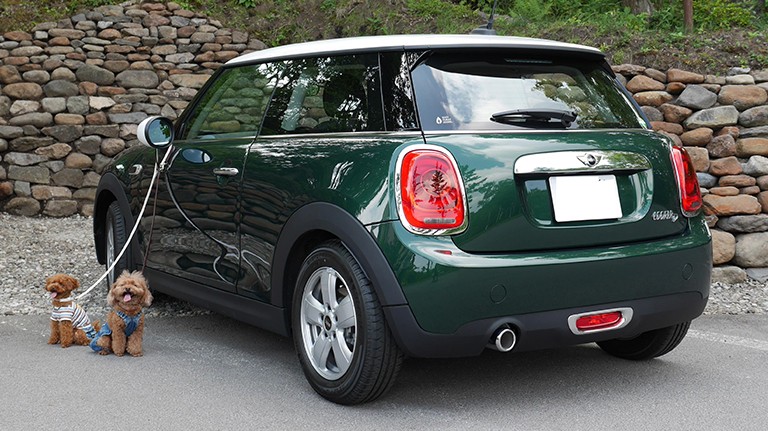 一目瞭然で「MINI」と分かる。