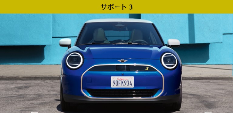 MINI ALL IN.