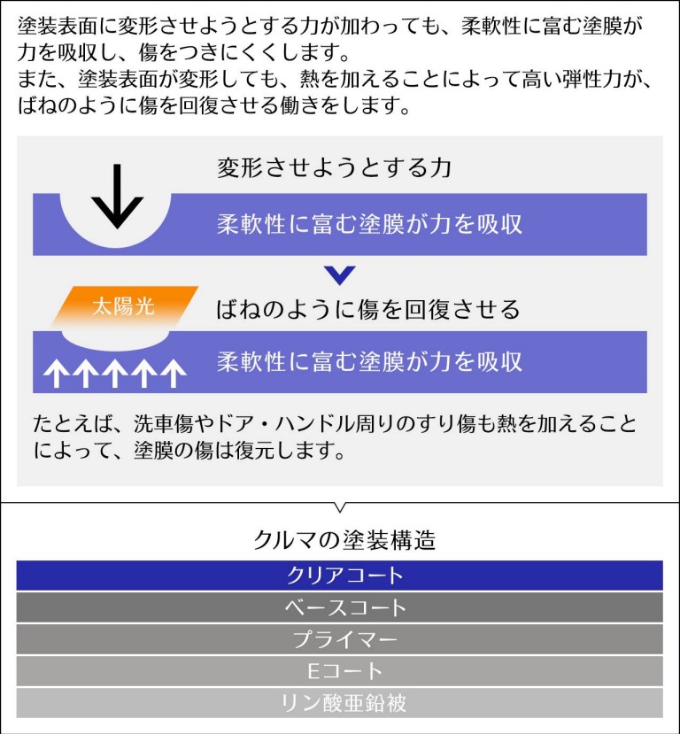 塗膜の復元イメージ