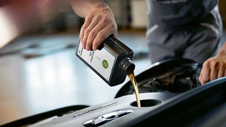 MINI  OIL